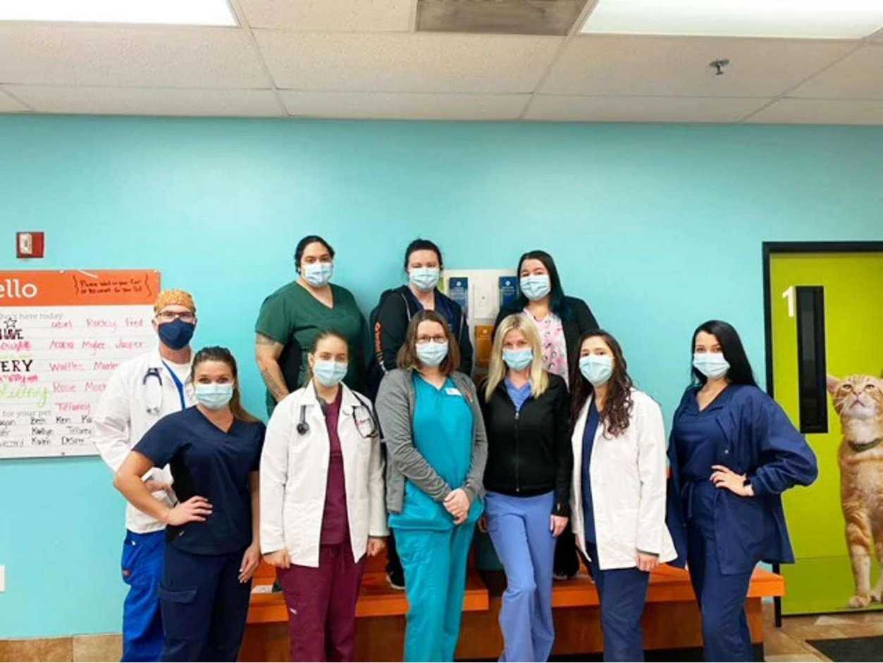 A group of Banfield Associates at the Banfield Pet Hospital