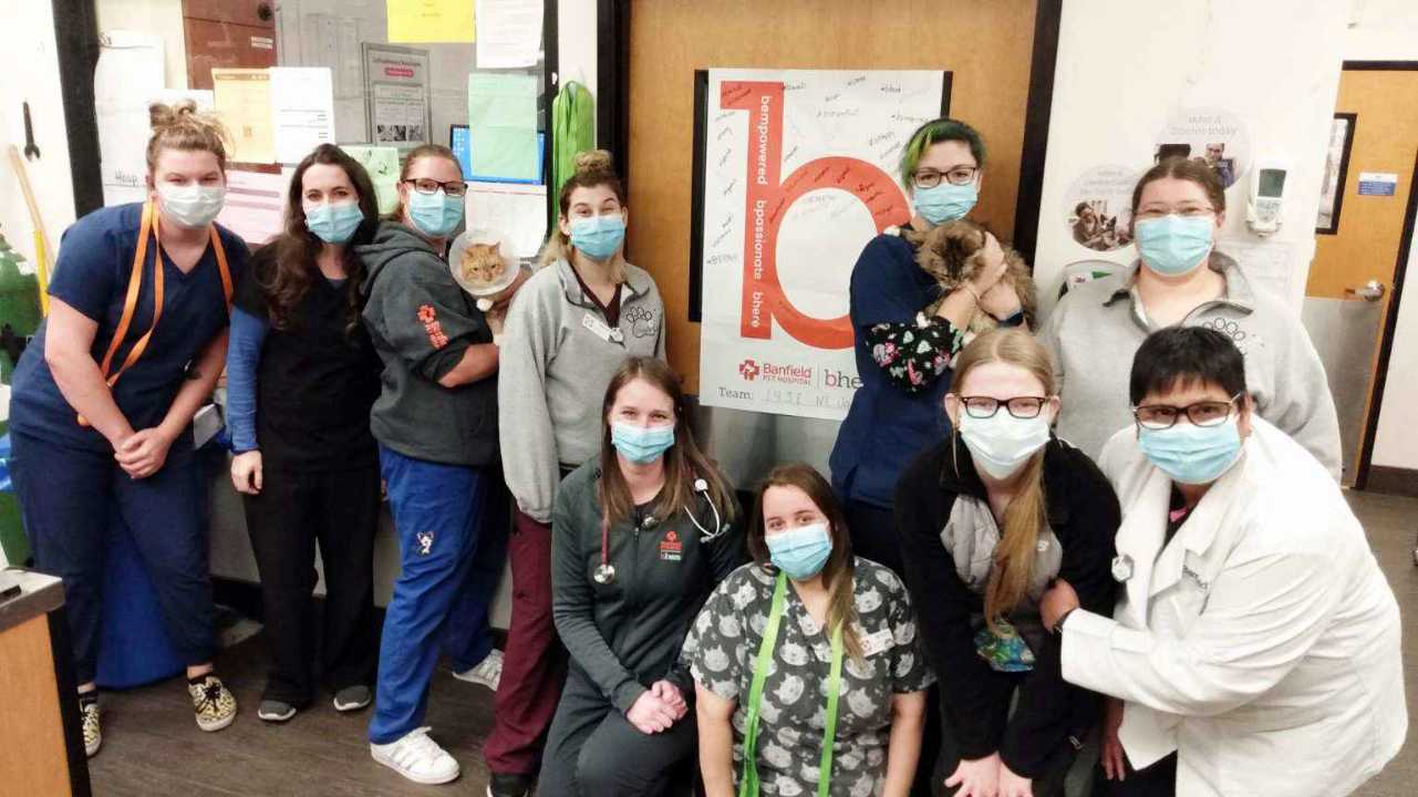 A group of Banfield Associates at the Banfield Pet Hospital