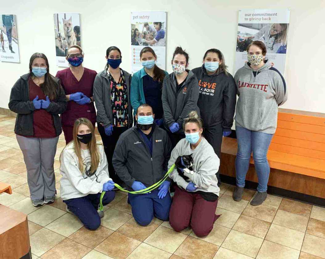 A group of Banfield Associates at the Banfield Pet Hospital