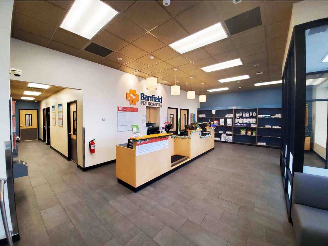 The lobby of the Banfield Pet Hospital