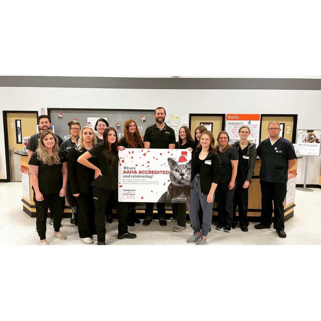 Team photo of the American Fork staff