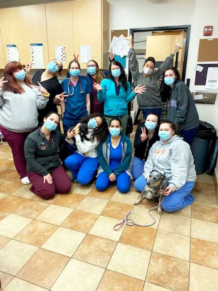 A group of associates at the Banfield Pet Hospital