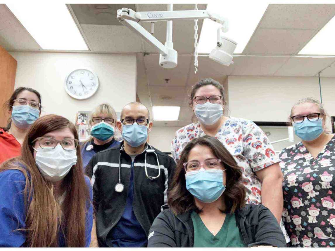 A group of associates at the Banfield Pet Hospital