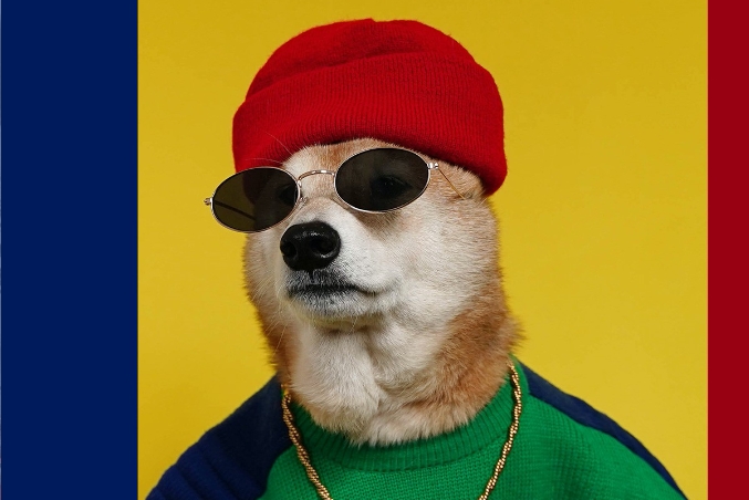 A dog wearing a hat and sunglasses